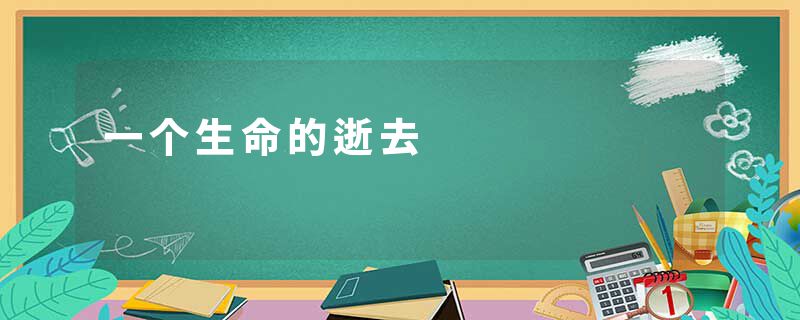 一个生命的逝去