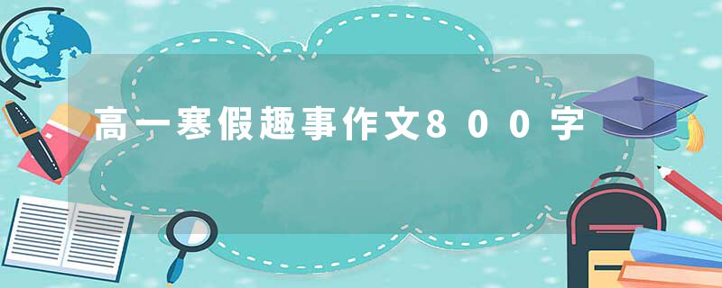 高一寒假趣事作文800字