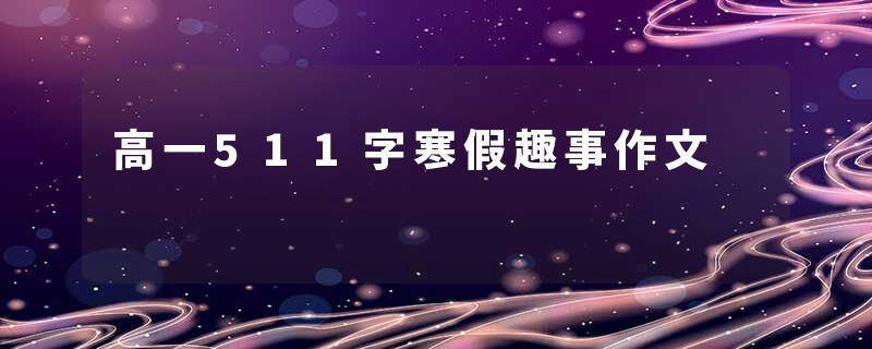 高一511字寒假趣事作文