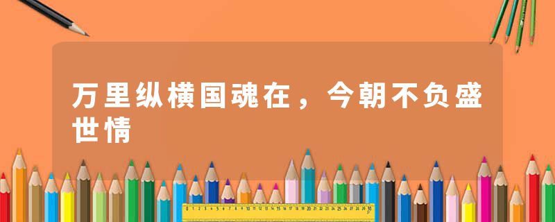 万里纵横国魂在，今朝不负盛世情