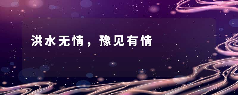 洪水无情，豫见有情