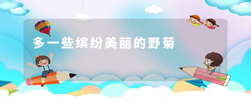 多一些缤纷美丽的野菊