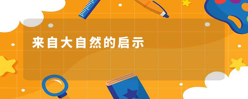 来自大自然的启示
