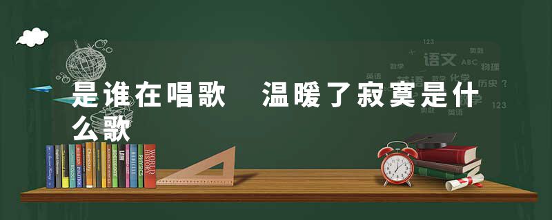 是谁在唱歌 温暖了寂寞是什么歌