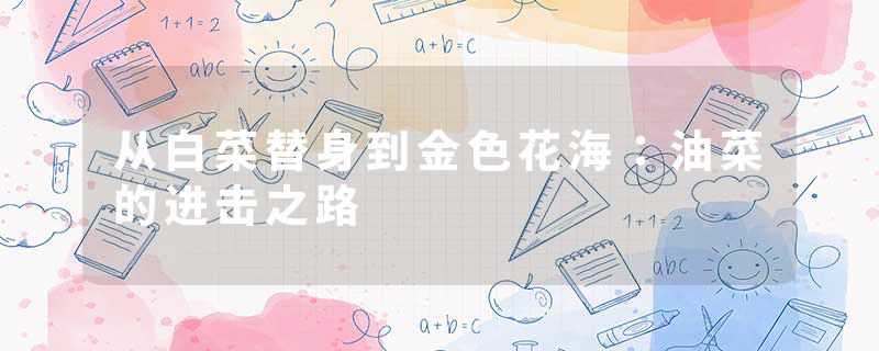 从白菜替身到金色花海：油菜的进击之路