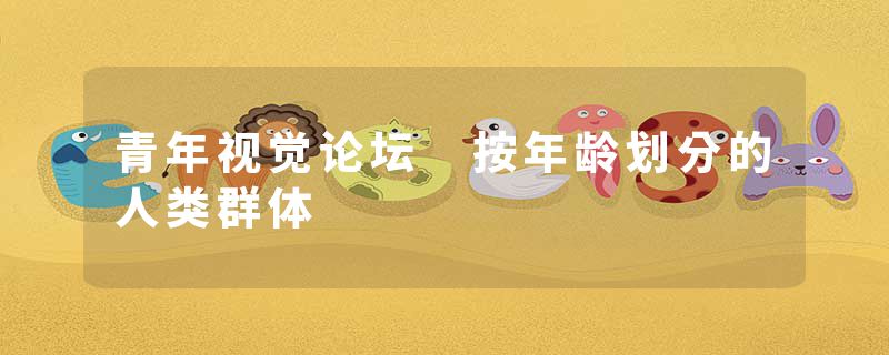 青年视觉论坛 按年龄划分的人类群体