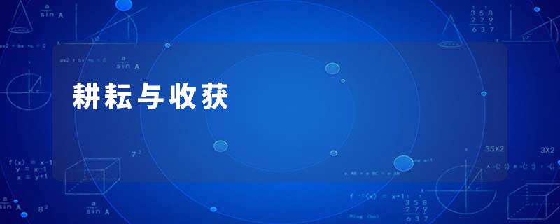 耕耘与收获