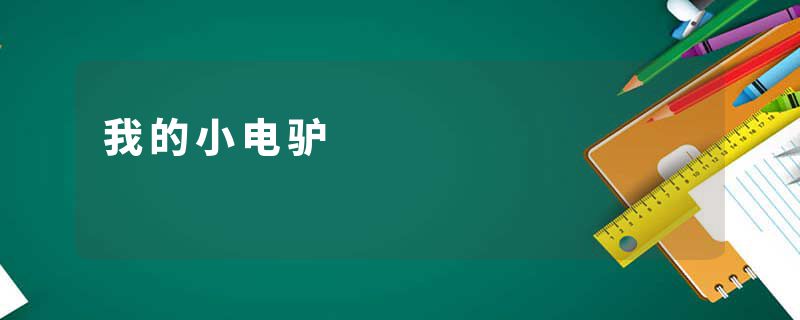 我的小电驴