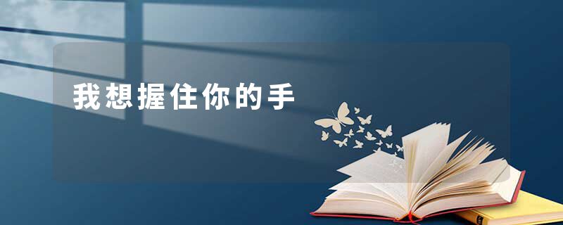 我想握住你的手