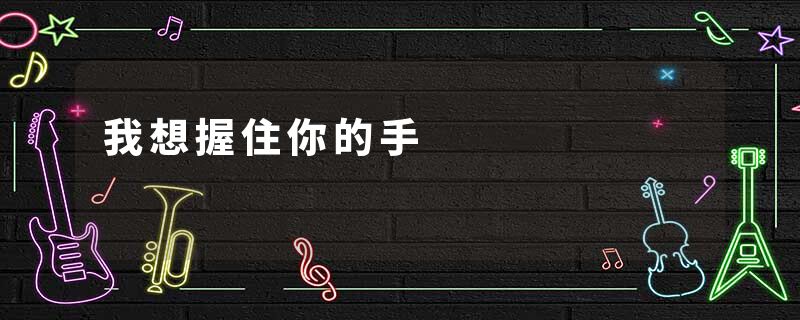 我想握住你的手