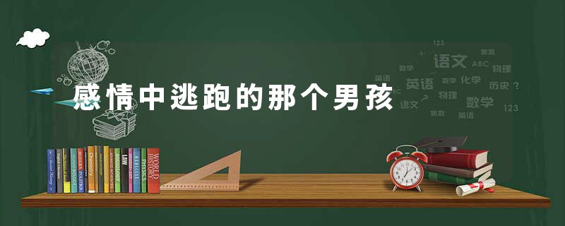 感情中逃跑的那个男孩