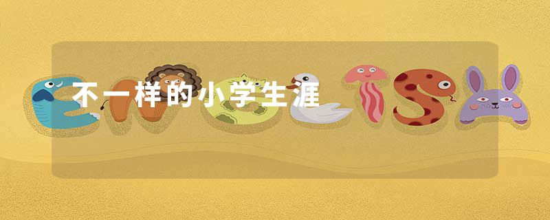 不一样的小学生涯