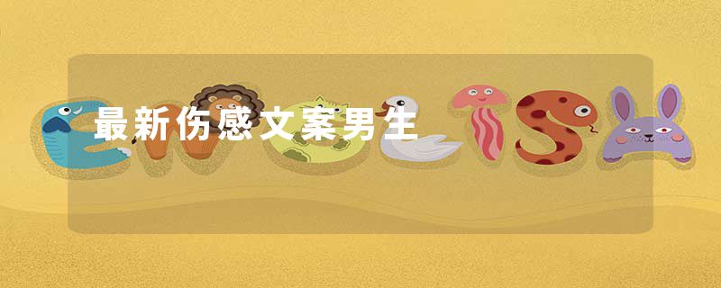 最新伤感文案男生