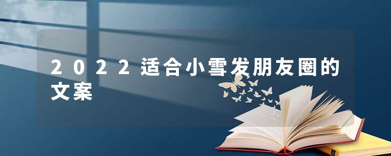 2022适合小雪发朋友圈的文案