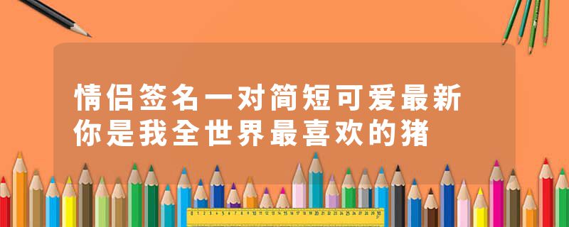 情侣签名一对简短可爱最新 你是我全世界最喜欢的猪