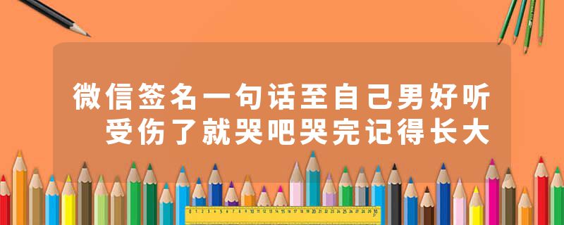 微信签名一句话至自己男好听 受伤了就哭吧哭完记得长大