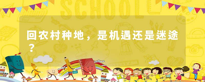 回农村种地，是机遇还是迷途？