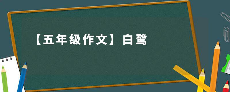 【五年级作文】白鹭