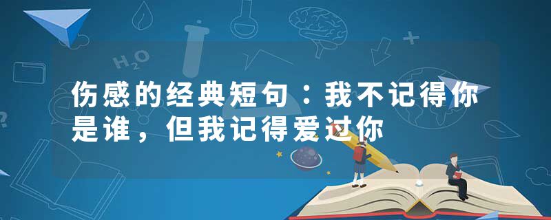 伤感的经典短句：我不记得你是谁，但我记得爱过你