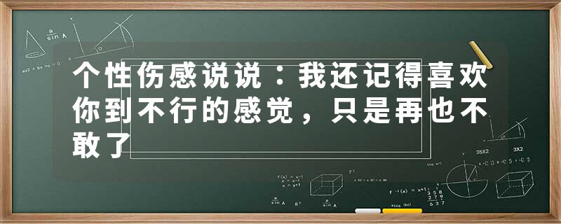 个性伤感说说：我还记得喜欢你到不行的感觉，只是再也不敢了