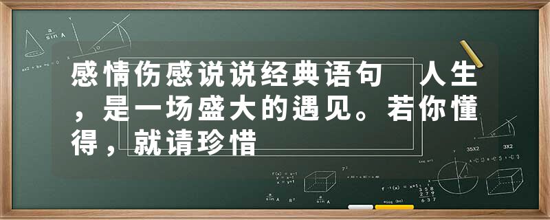感情伤感说说经典语句 人生，是一场盛大的遇见。若你懂得，就请珍惜