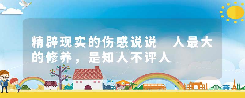 精辟现实的伤感说说 人最大的修养，是知人不评人