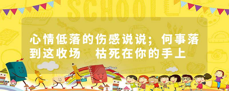 心情低落的伤感说说;何事落到这收场 枯死在你的手上