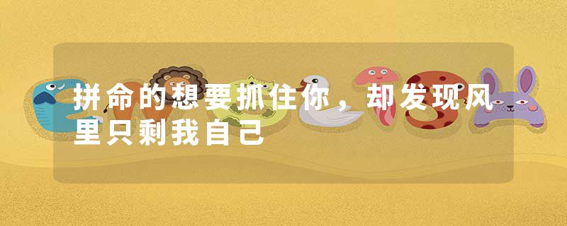 拼命的想要抓住你，却发现风里只剩我自己